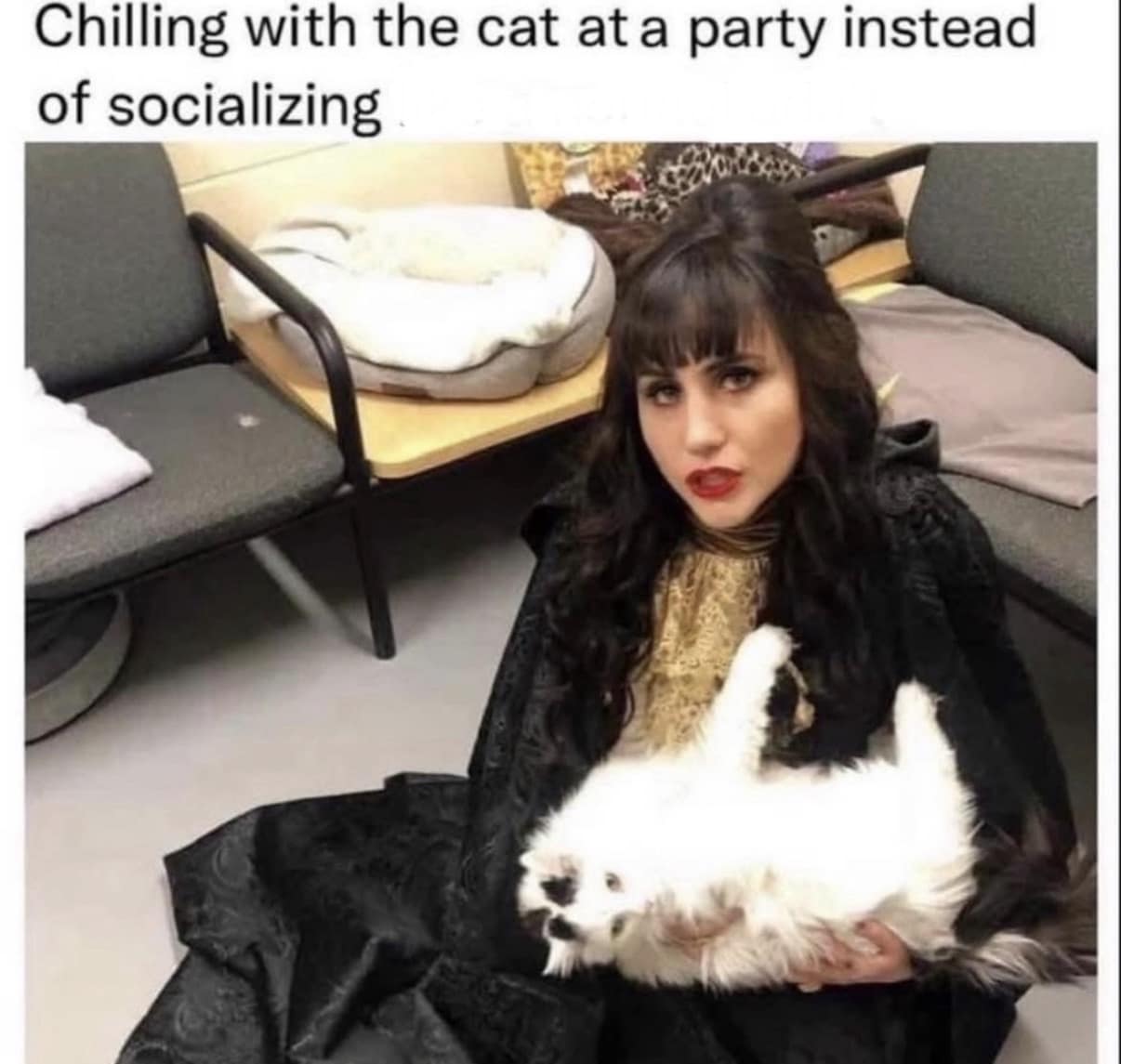 A relatable best memes entry showing Nadja from What We Do in the Shadows wearing a black Victorian dress and cape, sitting on the floor at a party while cradling a white cat and completely avoiding human interaction.