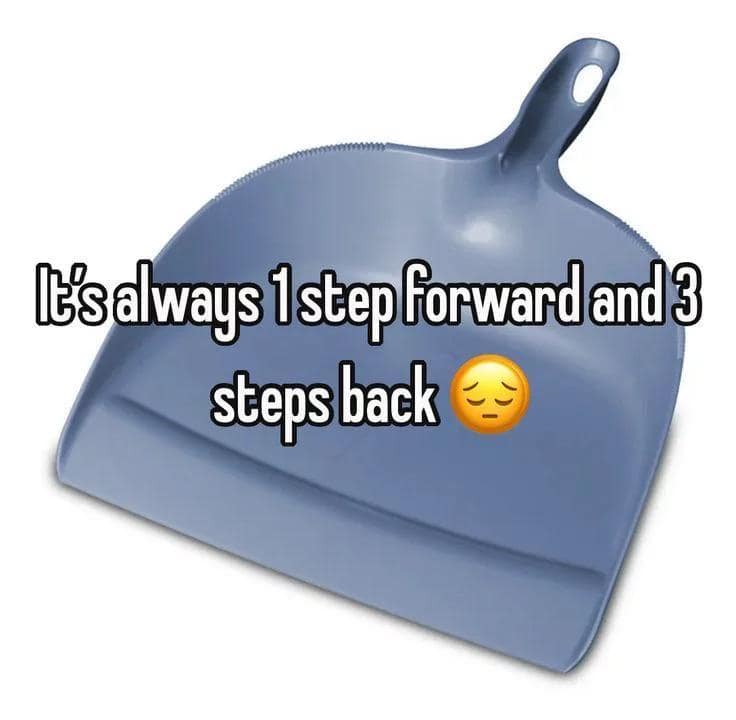 A household chores frustration graphic acts as a relatable classic meme, showing a standard blue plastic dustpan overlaid with the text, "It's always 1 step forward and 3 steps back."