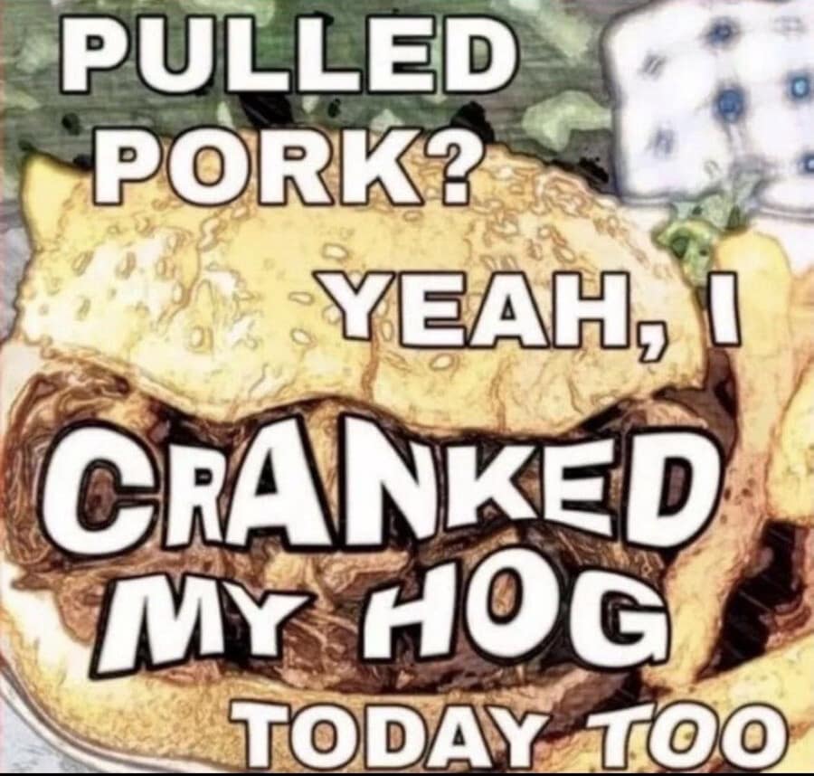 food item macro acting as a chaotic classic meme features text over an image of a messy barbecue sandwich reading, "PULLED PORK? YEAH, I CRANKED MY HOG TODAY TOO."