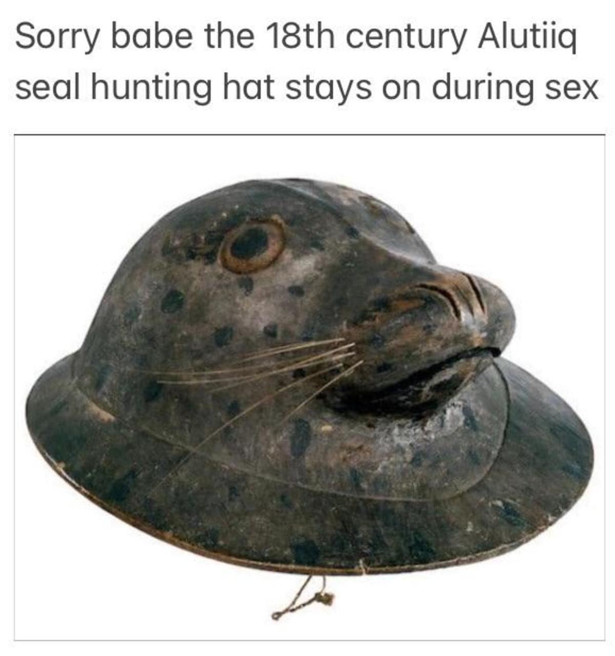 classic meme showing an 18th-century Alutiiq seal hunting hat that looks exactly like a real seal's head, with the text "Sorry babe the 18th century Alutiiq seal hunting hat stays on during s*x."