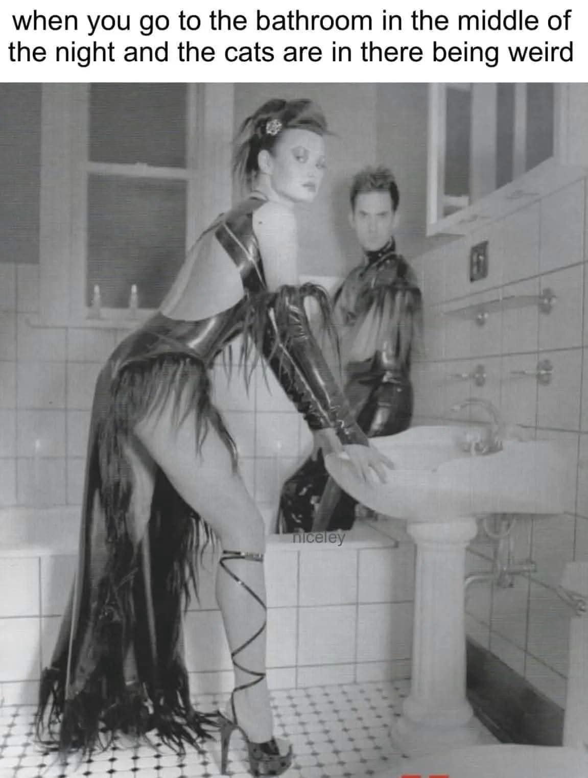 classic meme featuring a black-and-white photo of a man and woman dressed in elaborate black latex fetish gear in a standard bathroom, captioned: "when you go to the bathroom in the middle of the night and the cats are in there being weird."