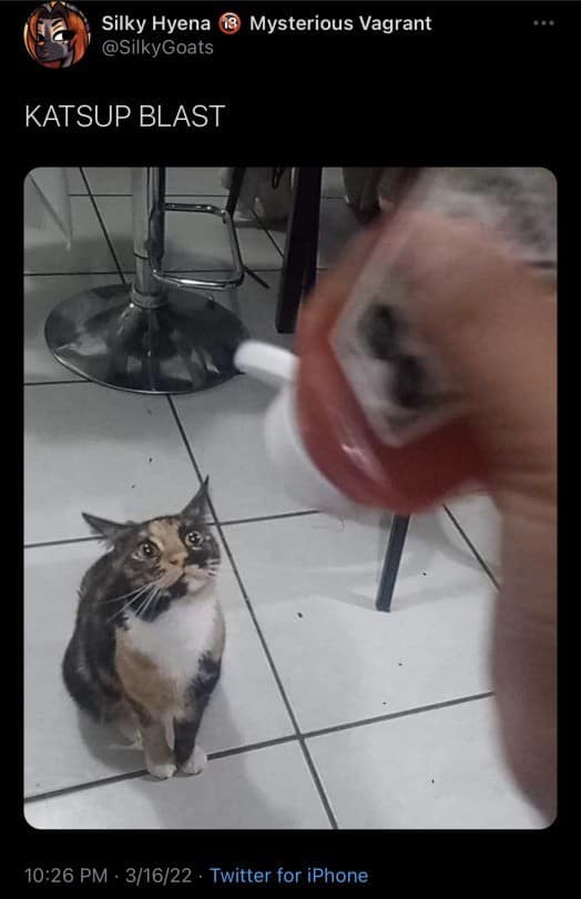 classic meme titled "KATSUP BLAST," showing a person holding a red ketchup bottle toward a calico cat that is staring up with wide, intensely worried eyes.