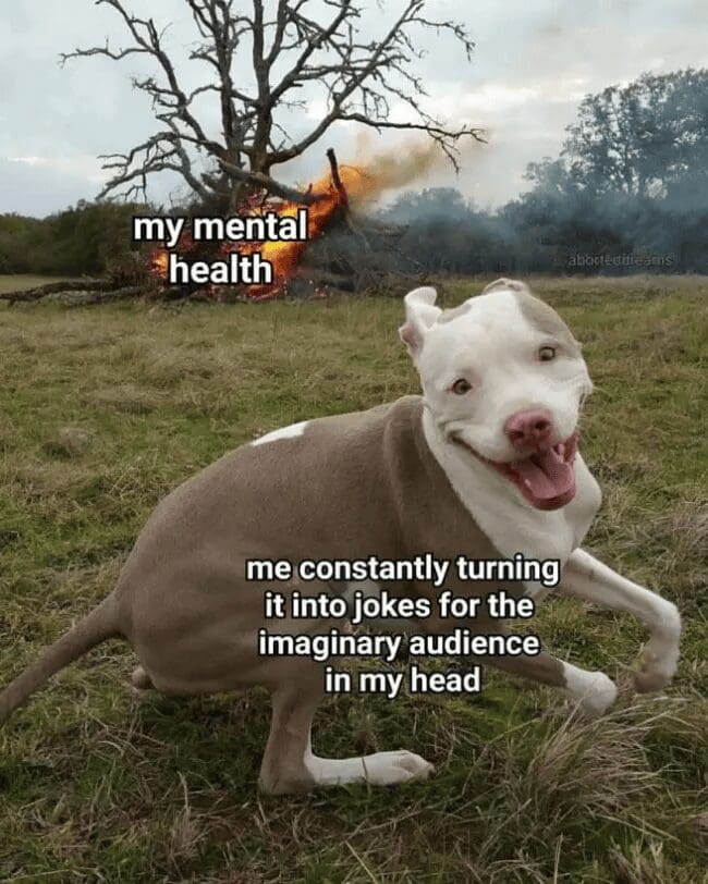 A chaotic classic meme of a smiling dog in a field with a burning tree in the background. The fire is labeled "my mental health" and the dog is labeled "me constantly turning it into jokes for the imaginary audience in my head."