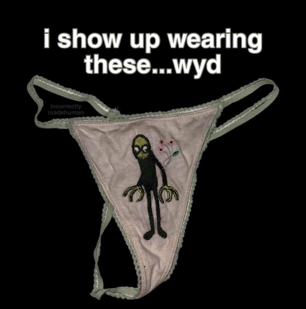 classic meme showing a pair of light green and pink lace thongs featuring a bizarre embroidered humanoid creature with long claws and flowers growing out of its back, captioned with the provocative text, "i show up wearing these... wyd".