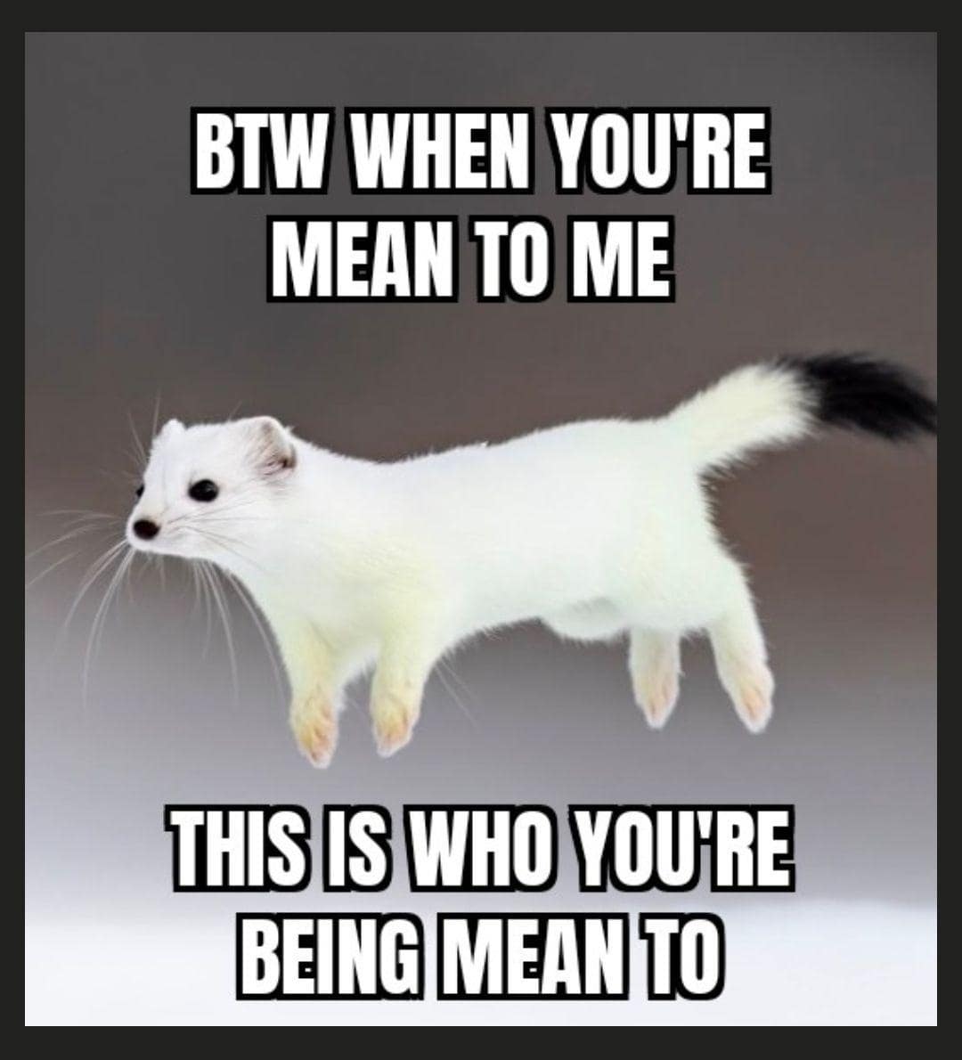A cute but defensive classic meme featuring a tiny white ermine in mid-leap across a snowy landscape, with top and bottom text reading: "BTW WHEN YOU'RE MEAN TO ME THIS IS WHO YOU'RE BEING MEAN TO."