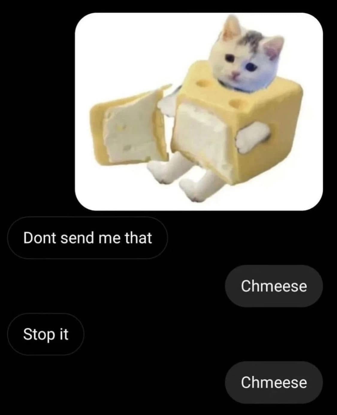 A chaotic text message conversation showcases a classic meme trend where a user repeatedly responds to requests to stop messaging by sending a picture of a kitten wearing a block of Swiss cheese armor alongside the word "Chmeese."
