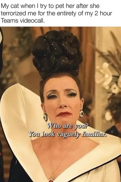 A classic meme showing Emma Thompson as the Baroness with the caption "Who are you? You look vaguely familiar," used to describe a cat's aloof attitude after causing chaos during a work meeting.