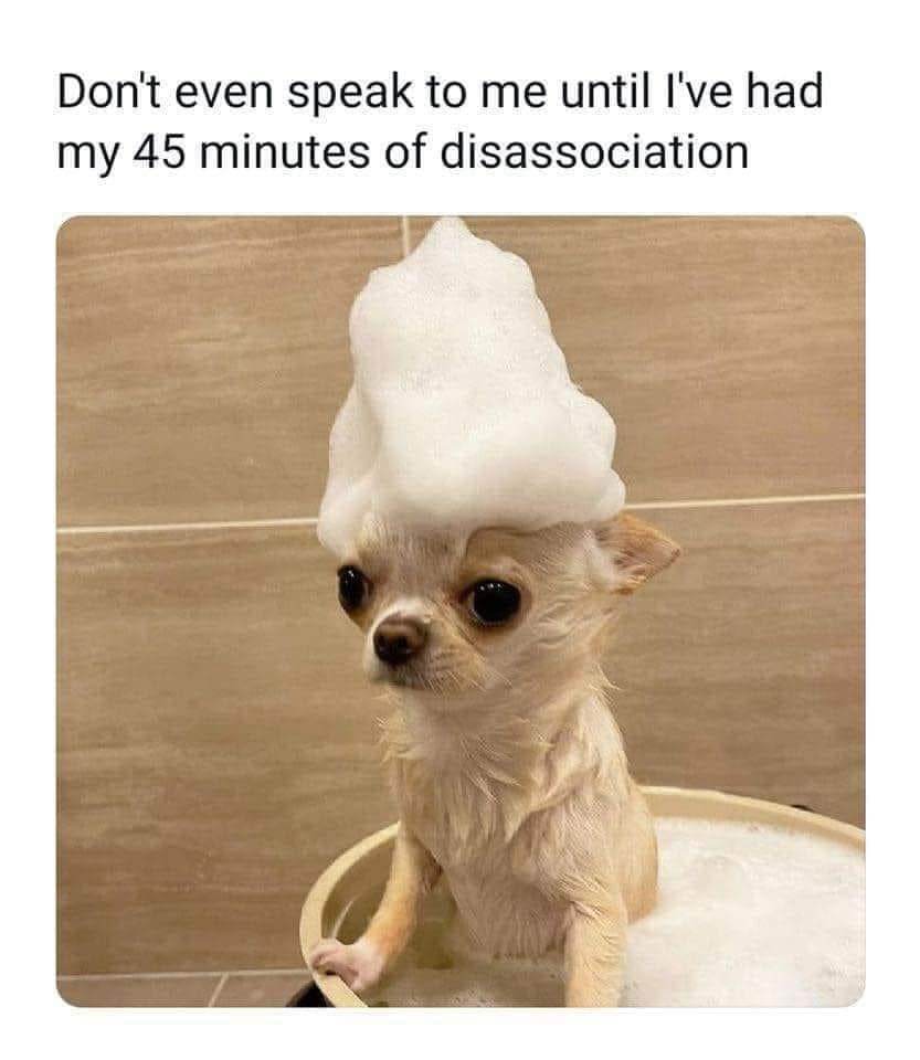 A tiny chihuahua sits soaked in a ceramic bathtub with a towering, perfectly balanced crown of white soap foam on its head in a highly shared classic meme about needing time to disassociate from the world.