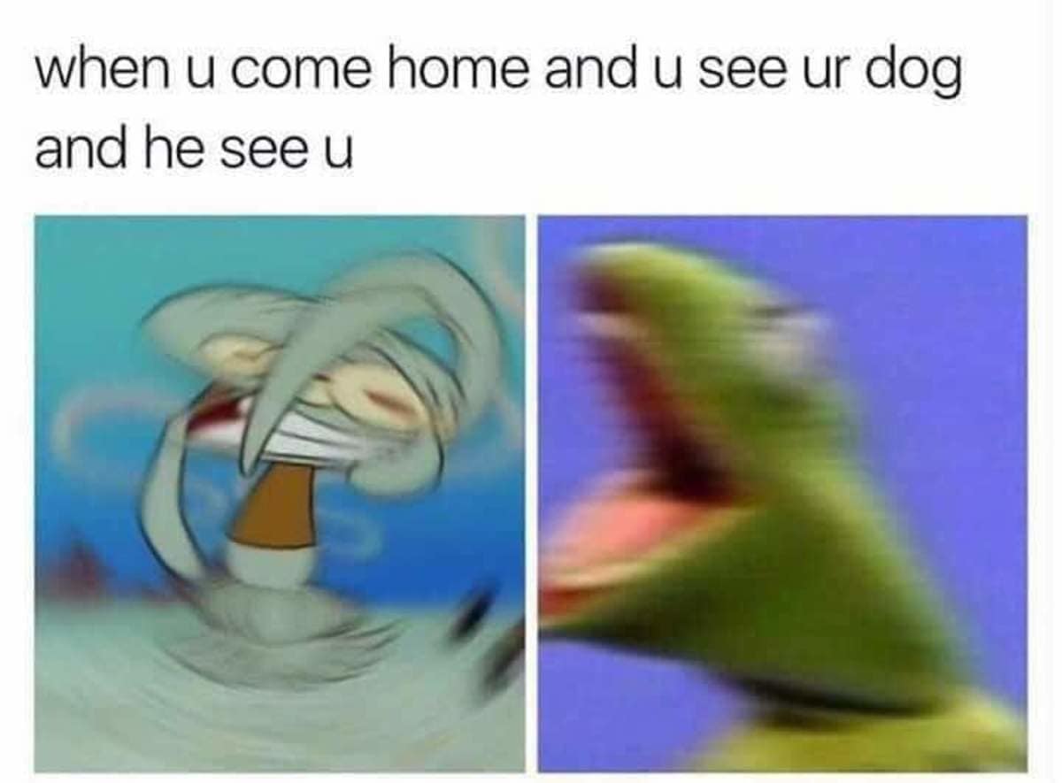 A dual-panel side-by-side comparison features motion-blurred close-ups of an ecstatic Squidward Tentacles and a screaming Kermit the Frog under a wholesome text caption describing the mutual hype when returning home to a pet dog, serving as a popular classic meme.