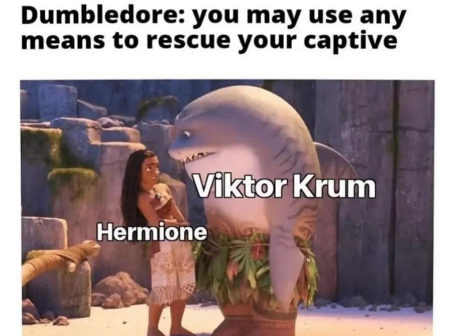 A relatable meme mashup using a scene from Moana to represent Harry Potter and the Goblet of Fire, showing Viktor Krum as a shark-headed demi-god standing awkwardly next to Hermione.
