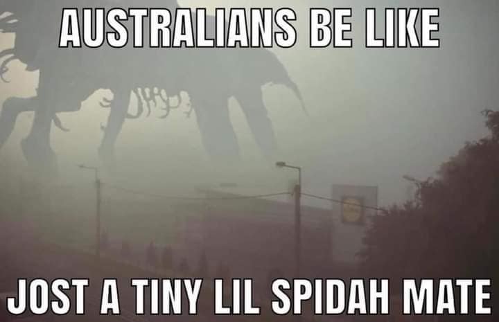 classic meme featuring a massive, multi-legged cosmic horror leviathan monster silhouetted in a dense, fog-covered sky behind a suburban building, with top and bottom text reading "AUSTRALIANS BE LIKE: JOST A TINY LIL SPIDAH MATE."