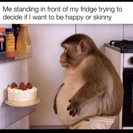 A chubby macaque staring intensely into a refrigerator captures the eternal internal conflict between health and snack-based happiness in this classic meme.