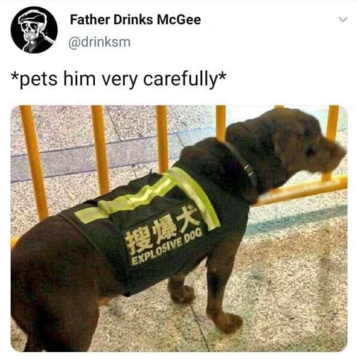 A dark-furred dog wearing a high-visibility yellow and black tactical vest reading "EXPLOSIVE DOG" is featured under the caption "*pets him very carefully*" in a tense but endearing classic meme.