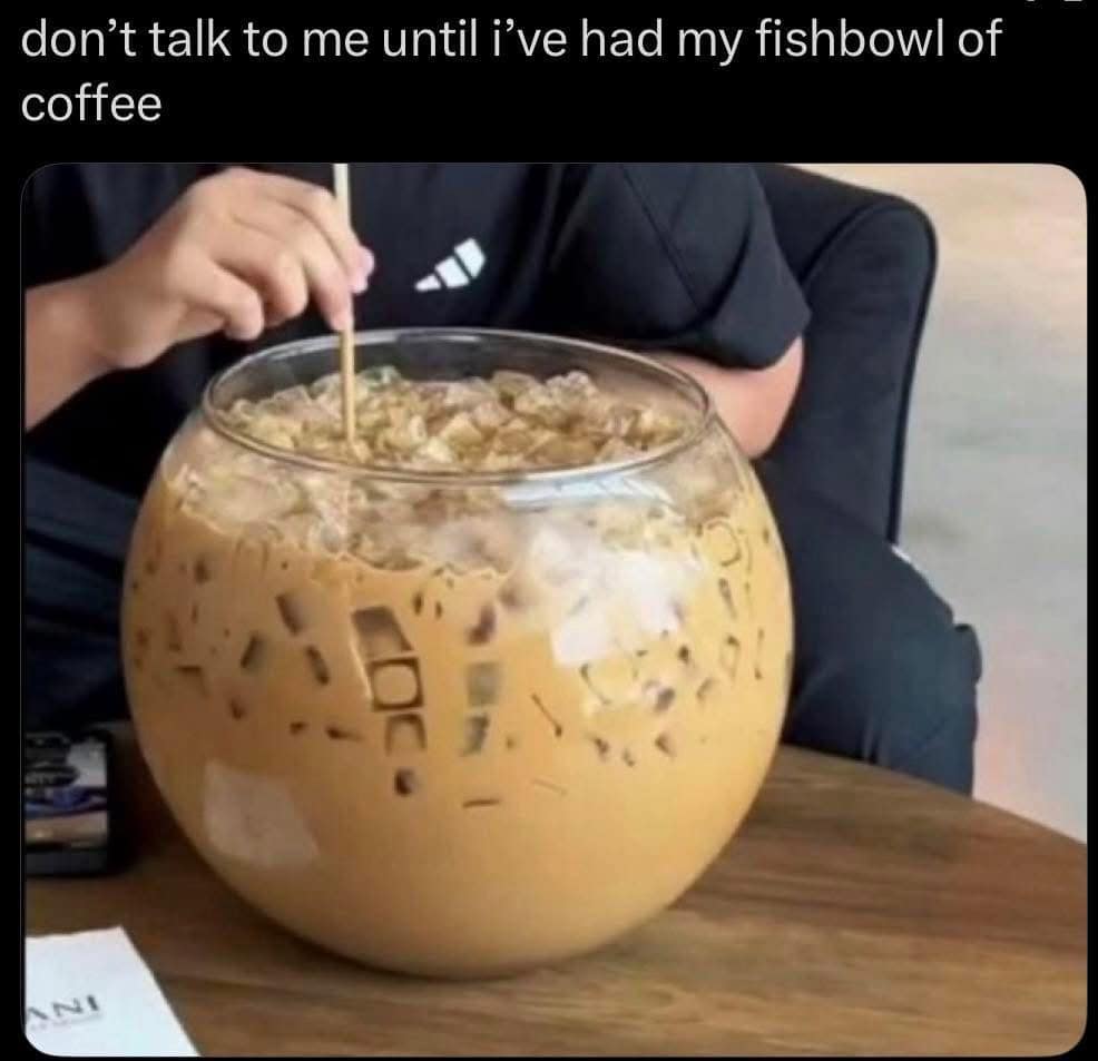 A funny beverage macro common among classic memes shows a first-person perspective of a customer holding a giant glass fishbowl filled to the brim with iced coffee and milk, captioned: "don't talk to me until i've had my fishbowl of coffee."