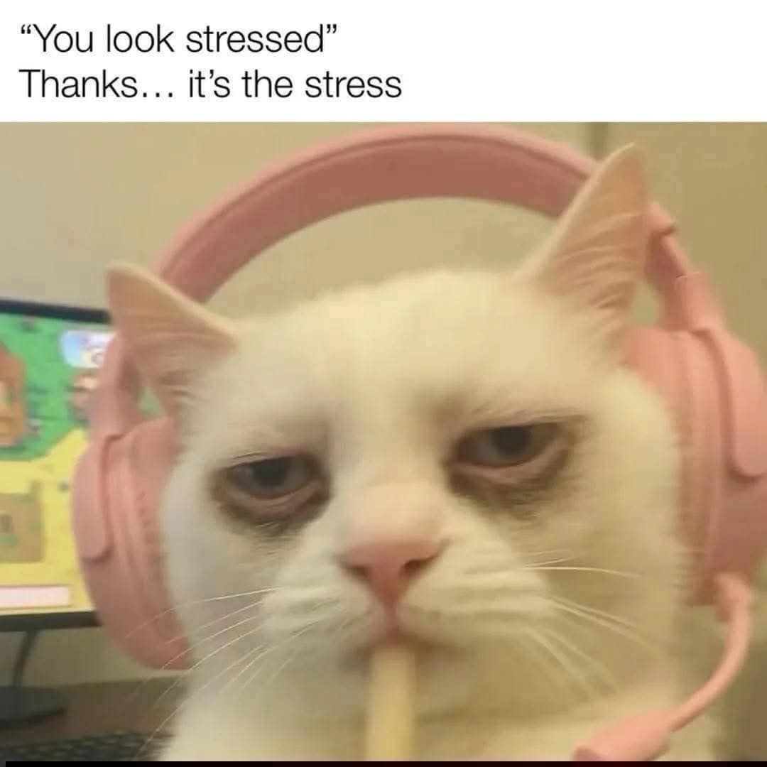 A tired white cat wearing a pink gaming headset while eating a french fry, perfectly personifying the "stress" of modern life in this classic meme.