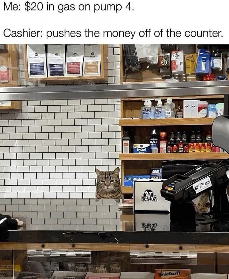 A hilarious classic meme showing a grumpy tabby cat’s head peeking over a gas station counter, captioned with the cashier cat pushing a customer's $20 bill onto the floor.