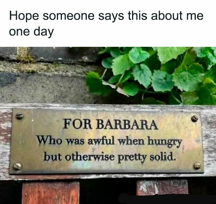 A classic meme photograph of a brass memorial bench plaque that pays tribute to Barbara, who was "awful when hungry but otherwise pretty solid."