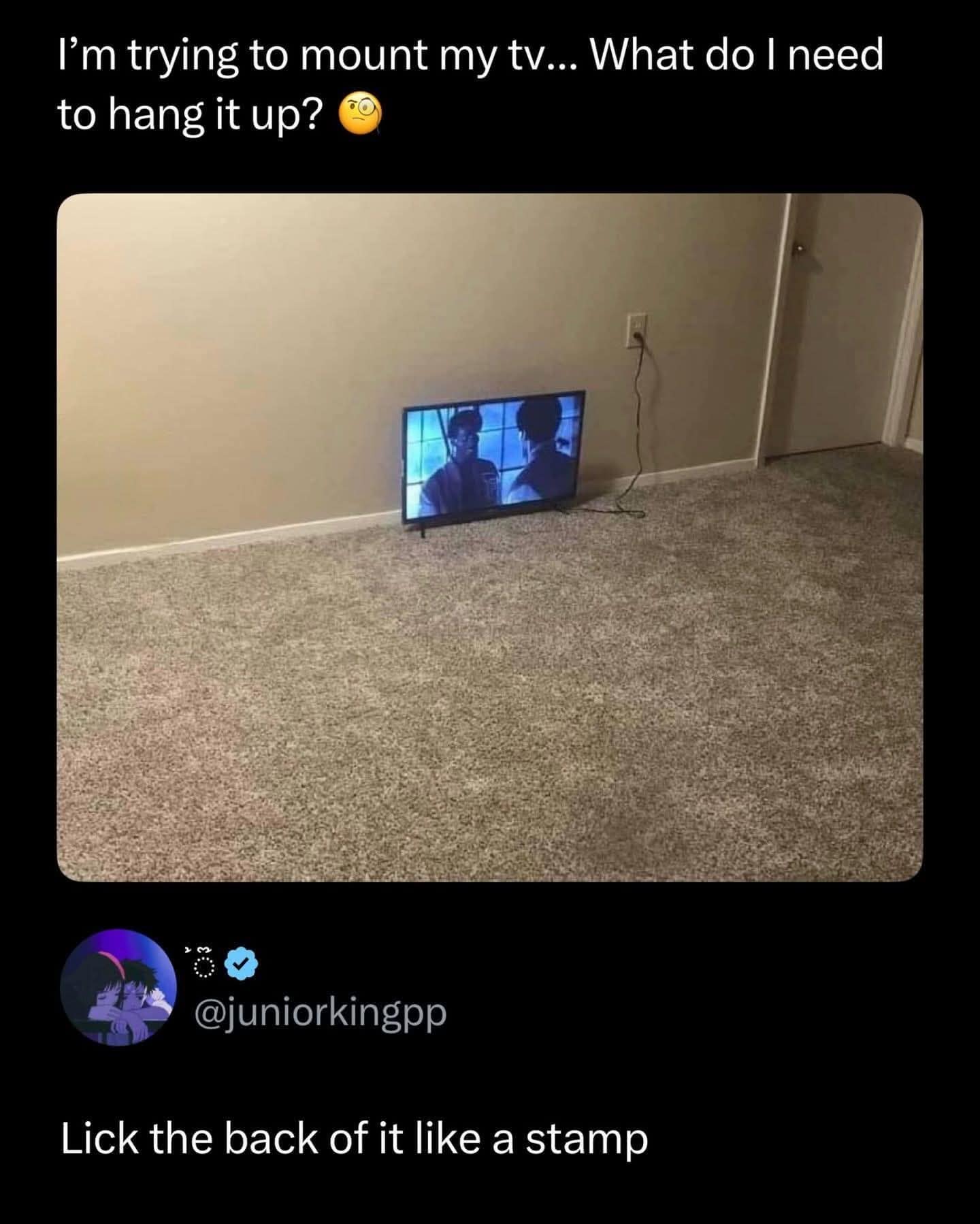 A photo of a television sitting on a carpeted floor with a ridiculous suggestion to lick the back like a stamp, showcasing the absurd logic of old memes.