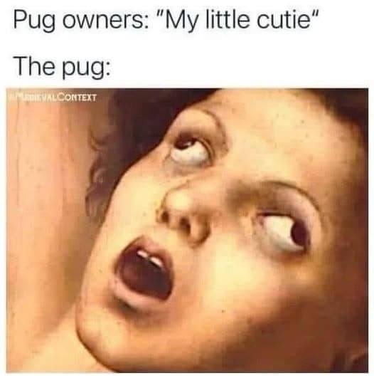 A comparison classic meme showing a Renaissance painting of a person with bulging, wall-eyed features to mock the "cute" appearance of pugs.