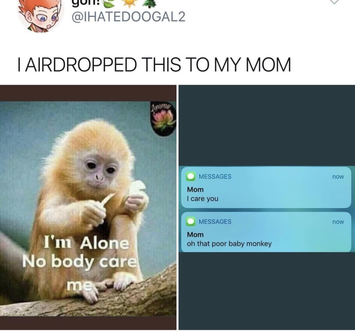 A wholesome classic meme showing a side-by-side of a sad baby monkey with the text "I'm Alone No body care me" and a screenshot of a mom replying "I care you" in a text thread.
