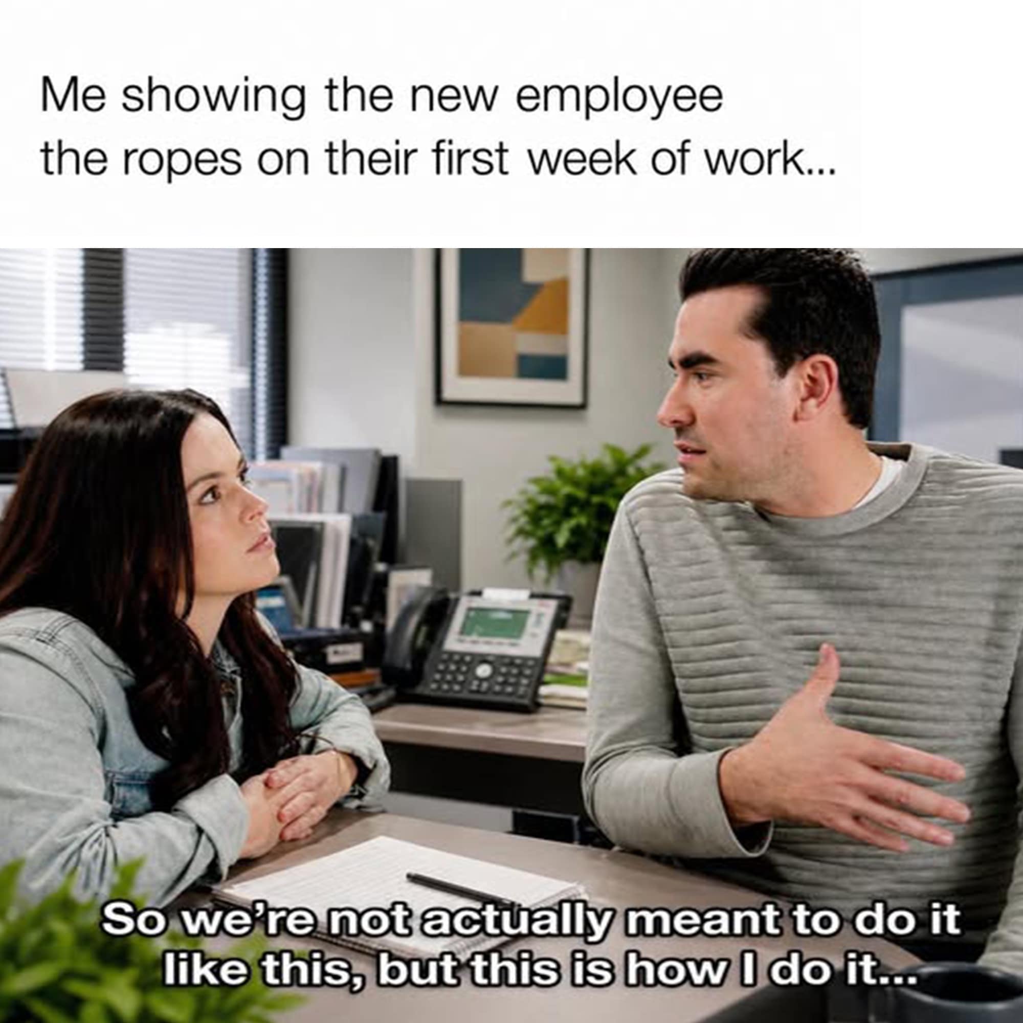 A relatable meme using a Schitt's Creek still of David Rose, representing the universal workplace experience of telling a new hire, "So we’re not actually meant to do it like this, but this is how I do it."