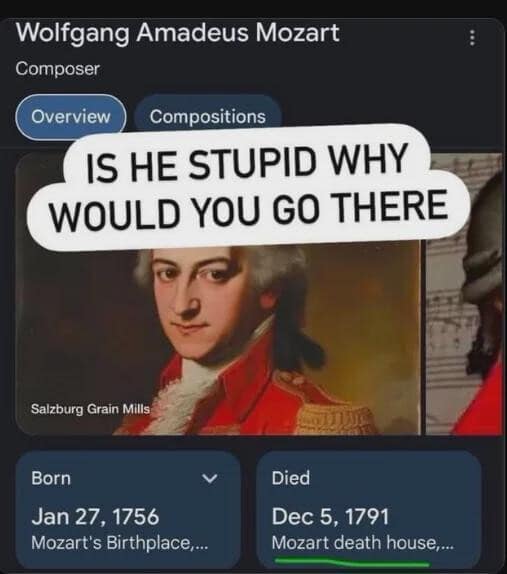 A desktop screenshot of a Google knowledge panel for composer Wolfgang Amadeus Mozart acts as an iconic ironic classic meme, featuring a bold text bubble reading "IS HE STUPID WHY WOULD YOU GO THERE" pointing directly at his listed place of death: "Mozart death house."