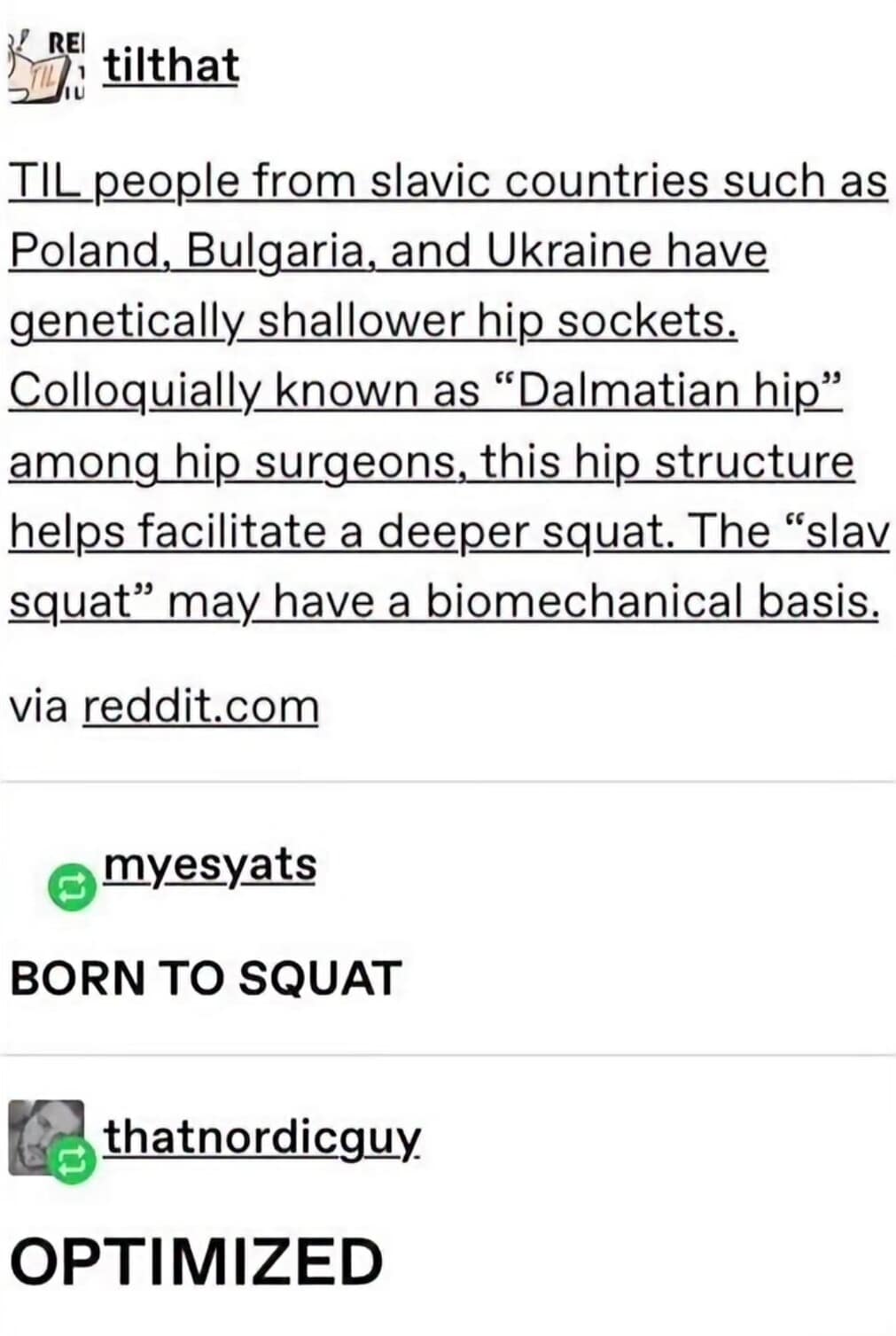 A classic meme post from Tumblr discussing the biological basis of the "Slavic squat" and genetic hip structure, labeled as being "optimized" for the posture.