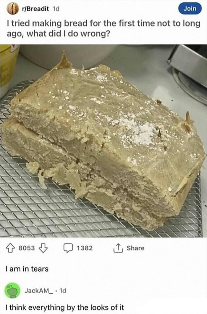 A disastrous kitchen fail captured in a classic meme where a Reddit user asks what went wrong with their first loaf of bread, which looks like a slab of grey concrete.