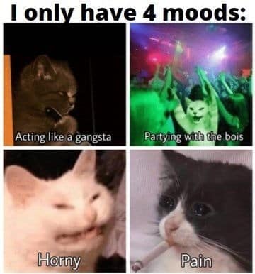 A four-panel character matrix titled "I only have 4 moods" maps out distinct human emotional states using viral funny cat images, including a knife-wielding gangsta cat and a crying, smoking cat representing pain.