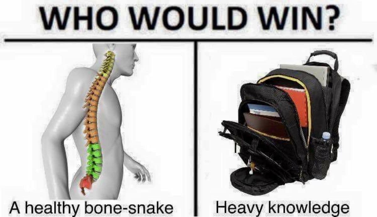 A "Who Would Win?" comparison layout from a folder of classic memes pits "A healthy bone-snake" (an anatomical graphic of a human spine) against "Heavy knowledge" (a massive, overstuffed school backpack), commenting on student back pain.