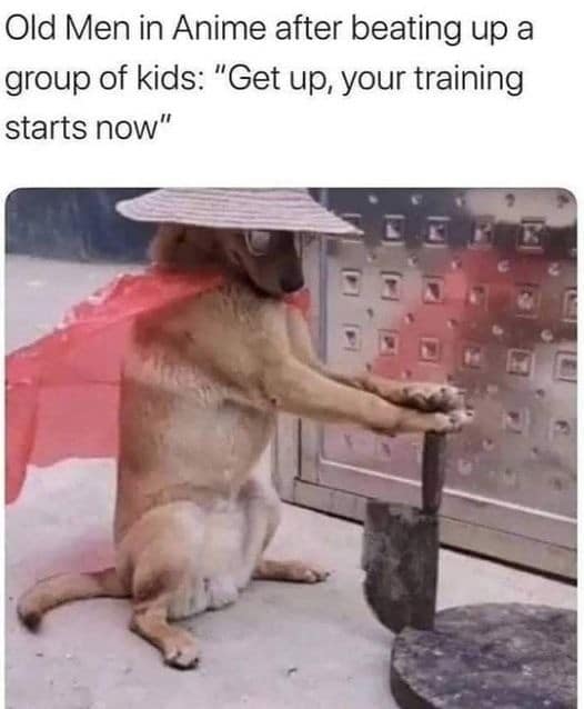 A dog dressed as a martial arts master leans on a cleaver to mock the common tropes of mentor characters in this classic meme about anime.