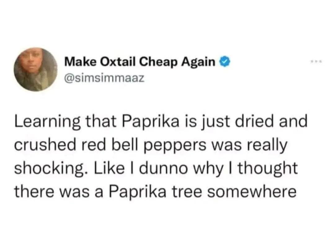 A viral tweet turned classic meme about the "shocking" realization that paprika is just dried and crushed bell peppers, debunking the imaginary "paprika tree."