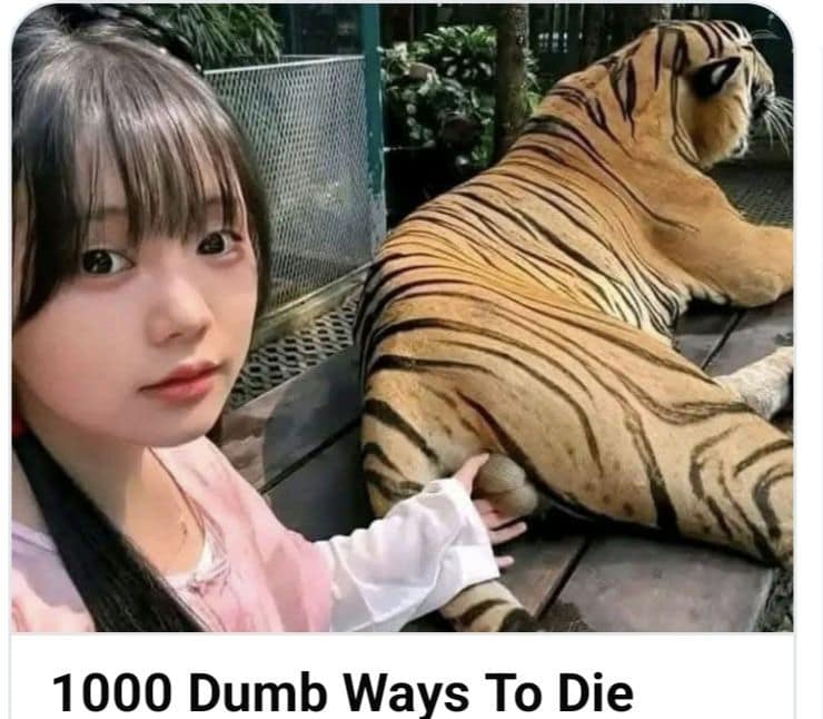 A terrifyingly classic meme showing a young woman taking a selfie while casually touching a large tiger's private parts, captioned with the "1000 Dumb Ways To Die" logo.