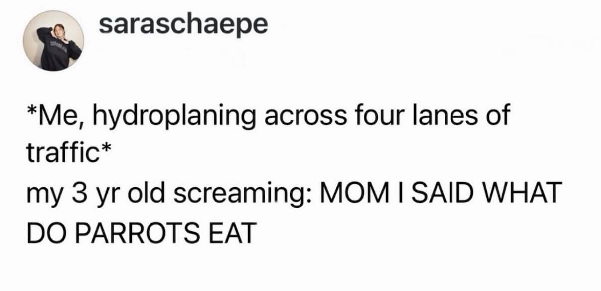 A chaotic parenting classic meme featuring a tweet by saraschaepe about hydroplaning across four lanes of traffic while a toddler screams from the backseat, "MOM I SAID WHAT DO PARROTS EAT."