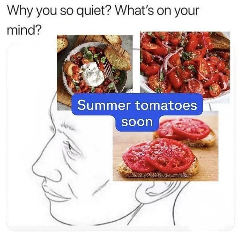 Slices of fresh caprese salad and burrata tomato bruschetta populate a line drawing thought bubble, anchoring a popular classic meme about obsessing over upcoming summer produce.