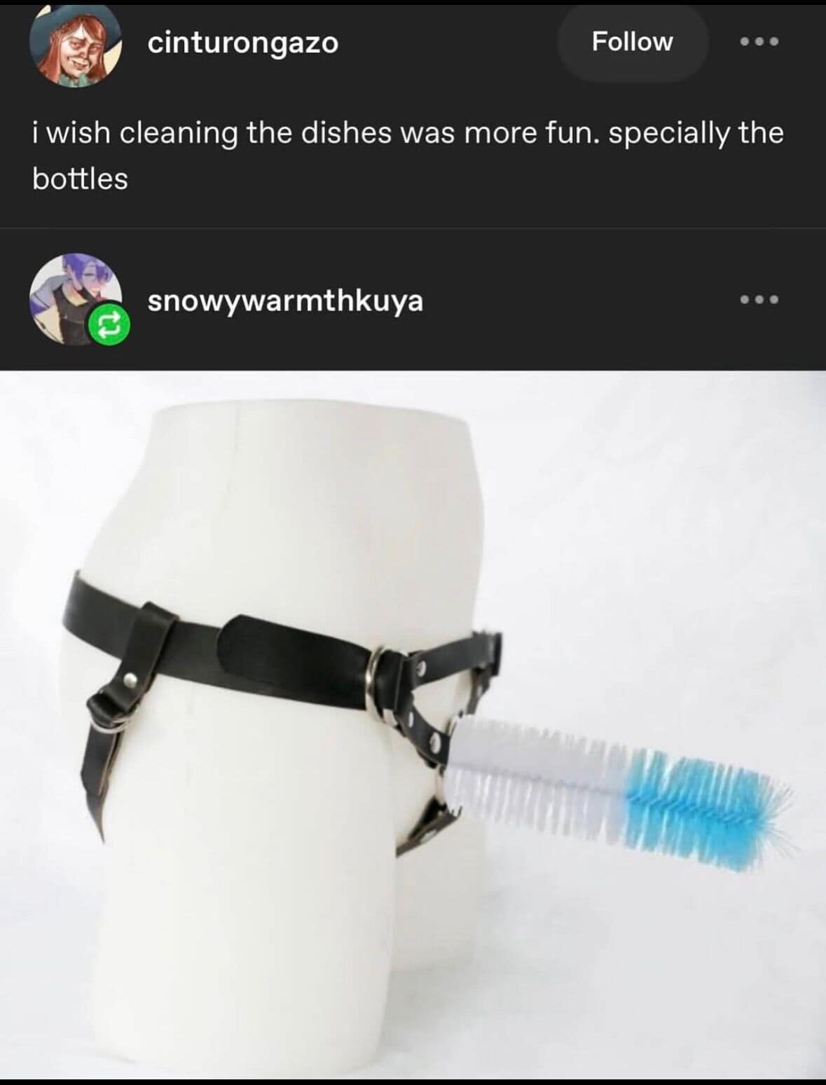 A mannequin displays a leather harness equipped with a bottle cleaning brush in a bizarre and humorous take on household chores in this classic meme.