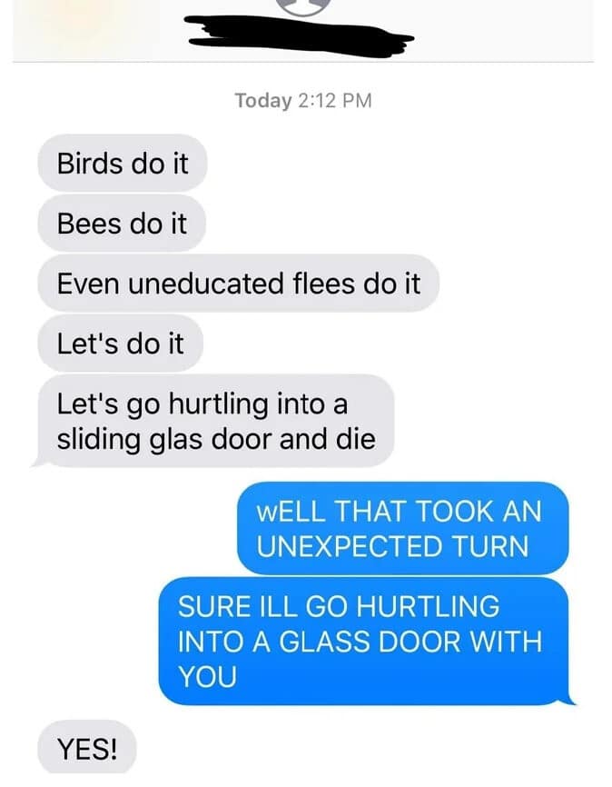 A humorous text message chat parodies the classic Cole Porter song "Let's Do It, Let's Fall in Love," replacing the romantic hook with a pact to hurtle headfirst into a sliding glass door.