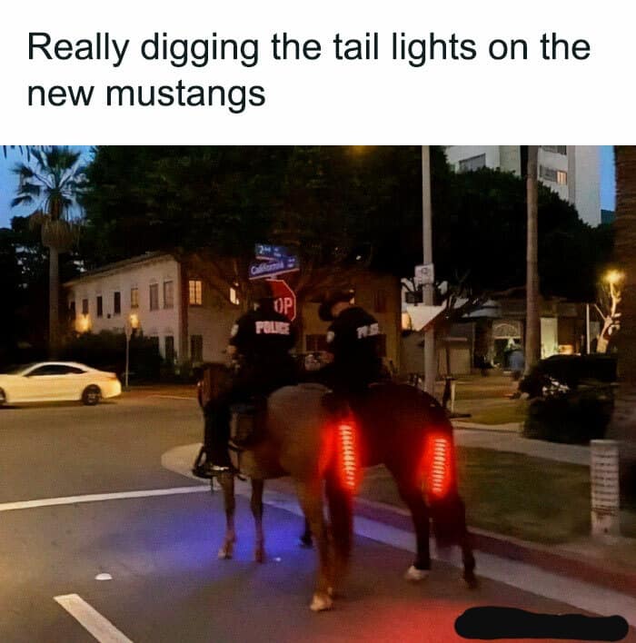 classic meme showing two police horses at night equipped with red LED safety lights on their tails, jokingly captioned as the "tail lights on the new Mustangs."