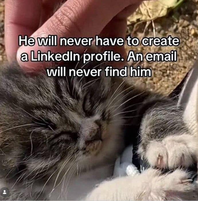 A wholesome classic meme of a tiny kitten sleeping peacefully while being petted, with text highlighting the absolute bliss of a life where one never has to create a LinkedIn profile or worry about "an email finding them."
