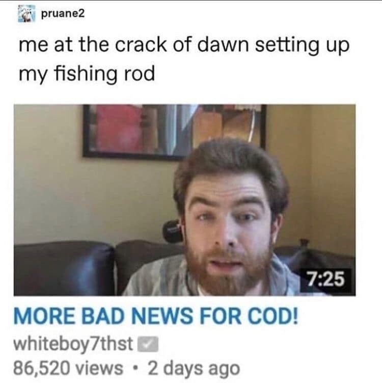 Gaming creator whiteboy7thst's vintage "Bad News for COD" YouTube thumbnail is cleverly repurposed into a literal fishing pun in this humorous classic meme.
