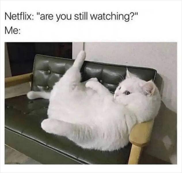 An old meme featuring a massively overweight white cat slumped in a bizarrely human-like seated position on a dark green leather sofa, representing the viewer when Netflix asks, "Are you still watching?"