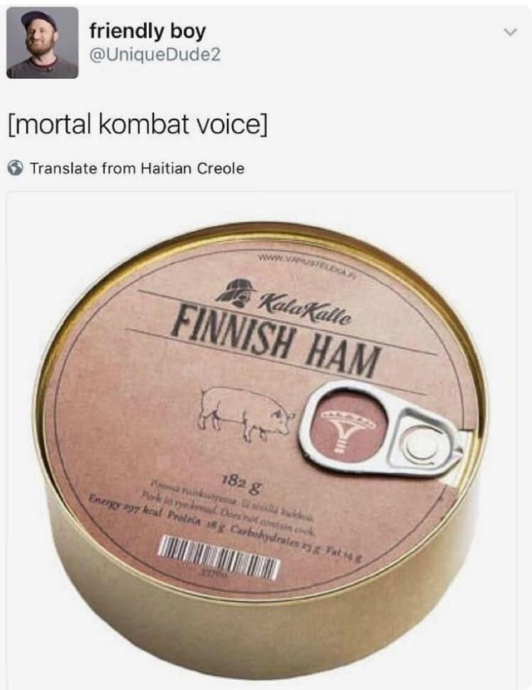 A pun-heavy old meme showing a can of "FINNISH HAM" placed under the text "[mortal kombat voice]," referencing the iconic "Finish Him!" catchphrase from the fighting game.