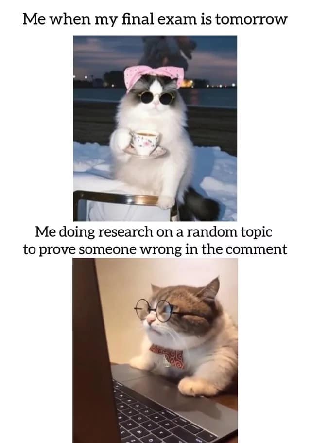 A split-panel cat template operating as an elite inclusion in classic memes compares a relaxed cat wearing a pink bow and sipping tea labeled "Me when my final exam is tomorrow" against an intensely focused cat wearing glasses looking at a laptop screen labeled "Me doing research on a random topic to prove someone wrong in the comment."