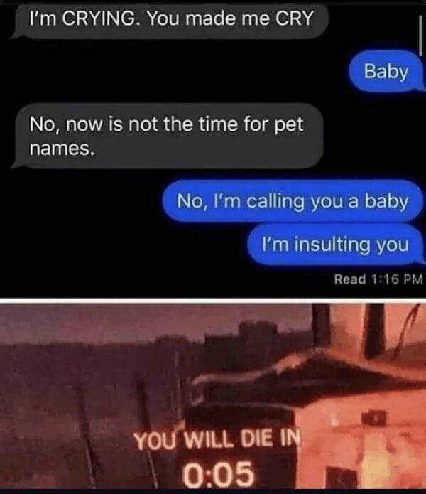 screenshot of a text argument where calling someone a baby is an insult rather than a pet name, capturing the aggressive wit of old memes.