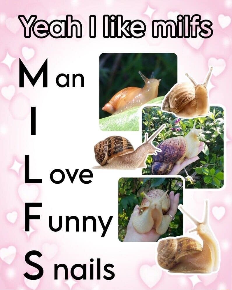 A wholesome yet ironic classic meme using the "MILFS" acronym to stand for "Man I Love Funny Snails" over a pink heart background with various snail photos.