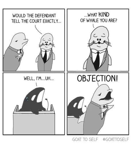 A clever classic meme comic by Goat to Self showing a courtroom of sea creatures where a seal lawyer asks an Orca what kind of whale it is; the Orca hesitates, and a dolphin lawyer screams "Objection!", referencing the fact that Orcas are actually dolphins.
