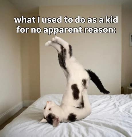 A relatable classic meme featuring a black and white cat lying on its back on a bed, contorting its body into a weird vertical "shrimp" pose with its hind legs crossed, captioned "what I used to do as a kid for no apparent reason:".