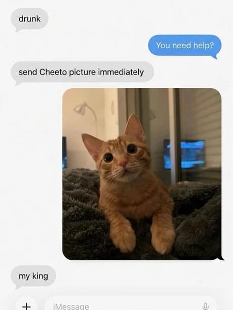 An iMessage thread captured in a classic meme format where a drunk individual demands a photo of a cat named Cheeto and immediately declares the orange feline "my king."