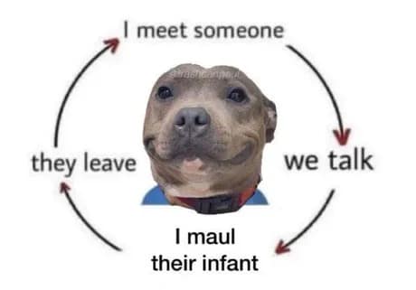 A dark humor circular flowchart serves as a shocking classic meme, tracking a smiling pitbull terrier's repetitive life path through four text phases: "I meet someone," "we talk," "I maul their infant," and "they leave."