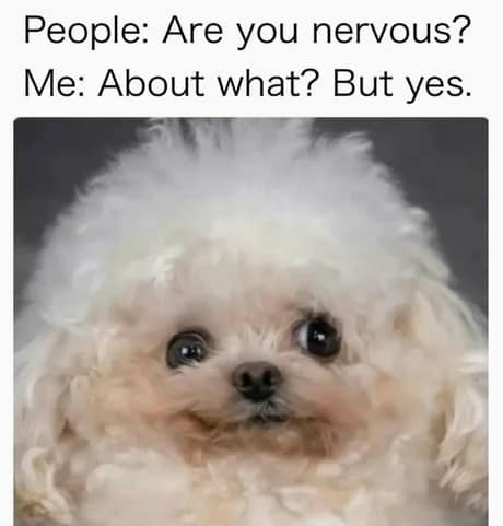 classic meme featuring a wide-eyed, scruffy poodle used to illustrate the feeling of being perpetually nervous without having a specific reason why.